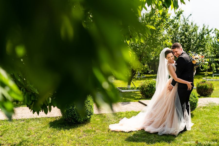 結婚式の写真家Petru Dragomir (pronunta)。2019 6月14日の写真