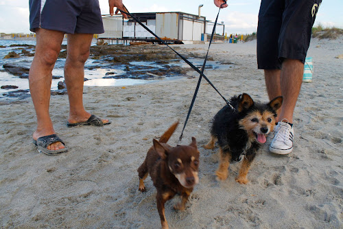 A spasso in spiaggia di eliza