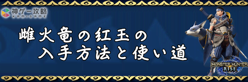 火 ライズ 紅玉 竜 雌 の