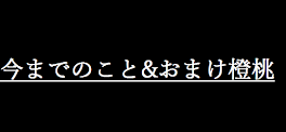 今までのこと&おまけ橙桃