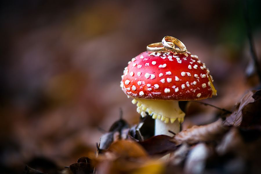 Fotografer pernikahan Karolina Dmitrowska (dmitrowska). Foto tanggal 2 Desember 2016