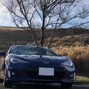 BRZ ZC6