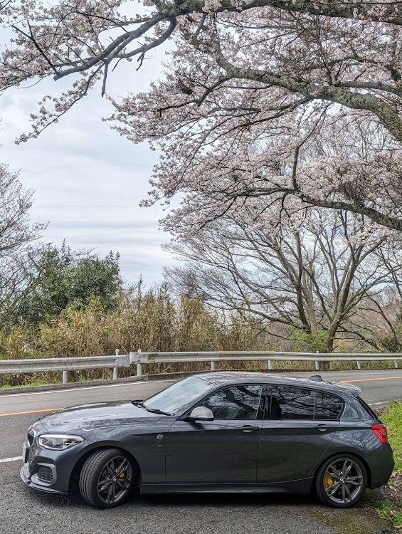 1シリーズ ハッチバックのいいね＆フォロー＆コメントありがとうございます・サクラと愛車・洗車が趣味・BMW・4月もよろしくお願い致します🌸に関するカスタム事例の投稿画像4枚目