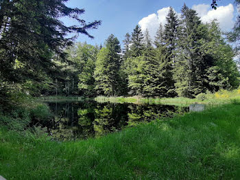 terrain à Faucogney-et-la-Mer (70)