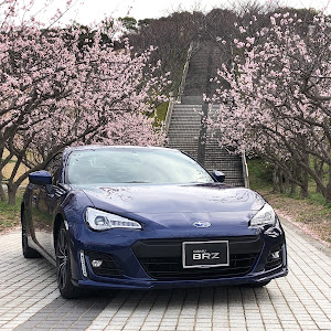 BRZ ZC6