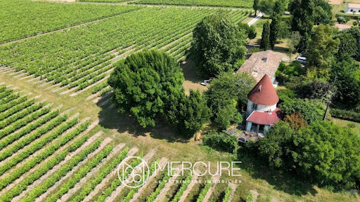 House with garden 2