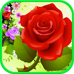 Bubble Shooter Rose Apk