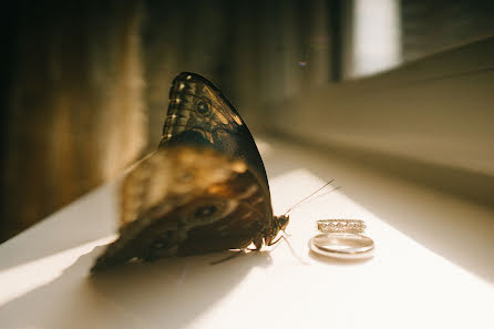 Fotografo di matrimoni Sasha Anashina (suncho). Foto del 12 gennaio 2018