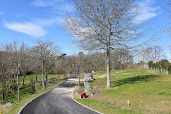 terrain à Saint-Martin-de-Hinx (40)