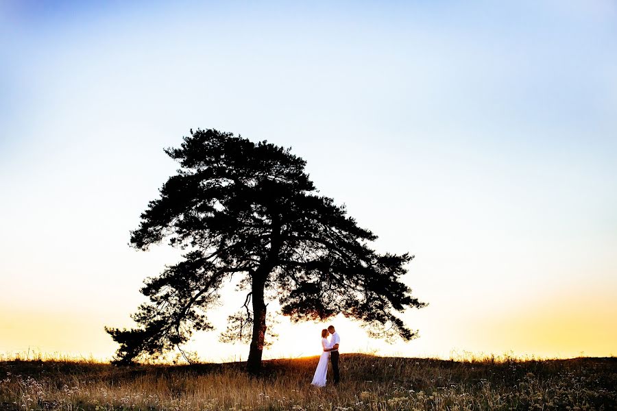 Vestuvių fotografas Alina Naumova (alischa). Nuotrauka 2015 spalio 14