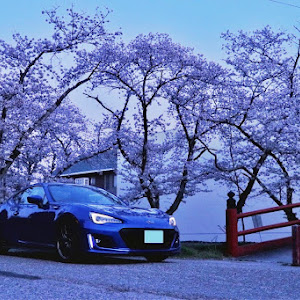 BRZ ZC6