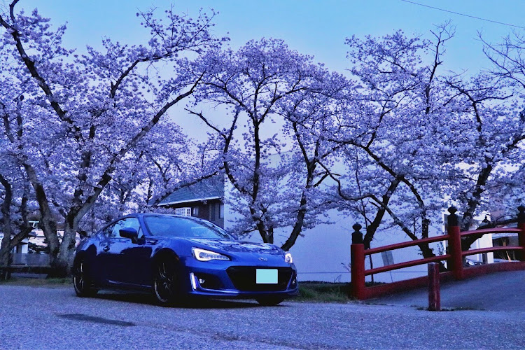 BRZの桜と愛車・瀬戸・SUBARU・ドライブに関するカスタム事例の投稿画像1枚目