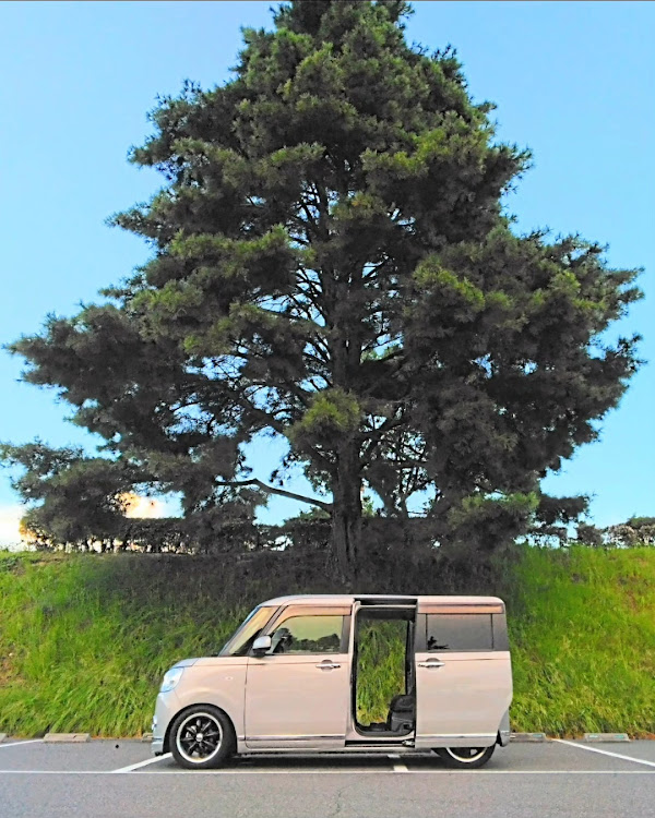 ムーヴキャンバスのKUROさんが投稿したカスタム事例の投稿画像1枚目