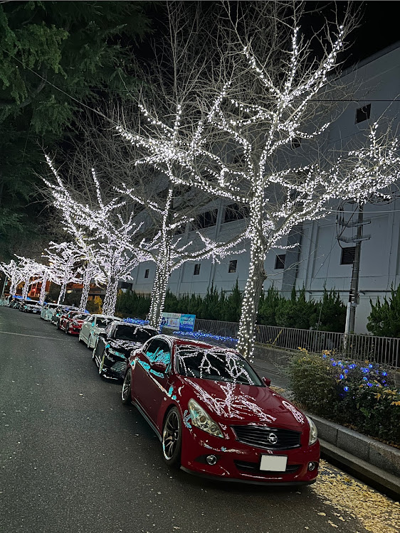 スカイラインのスカイライン・V36セダン・イルミネーションと愛車・徳山イルミネーション・12月もよろしくお願いしますに関するカスタム事例の投稿画像6枚目