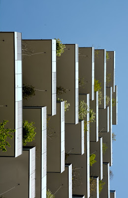 Il bosco verticale di Luca Mandelli