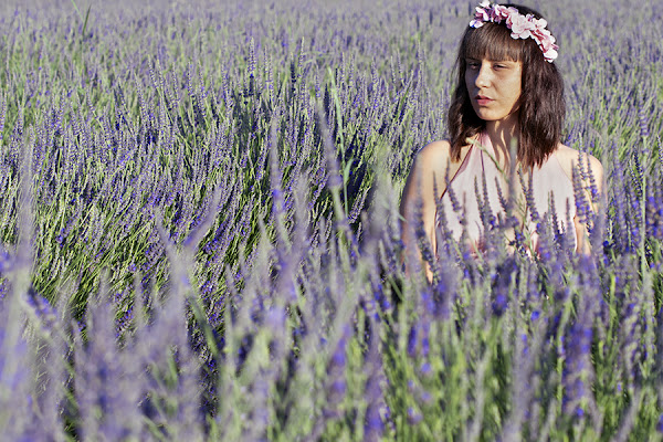 Profumo di Lavanda di RobertaSilvestro