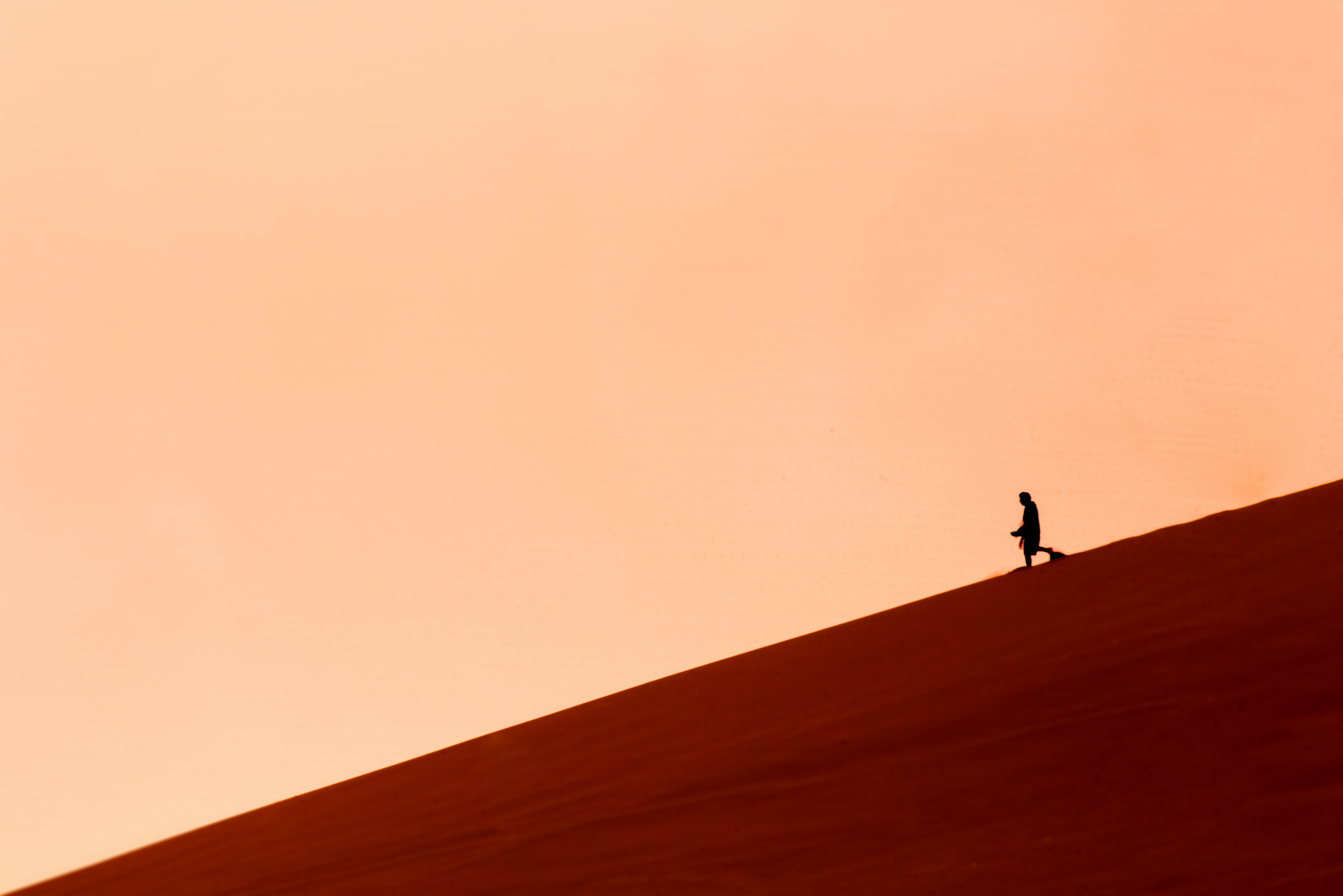 alone in the sand di simona cancelli