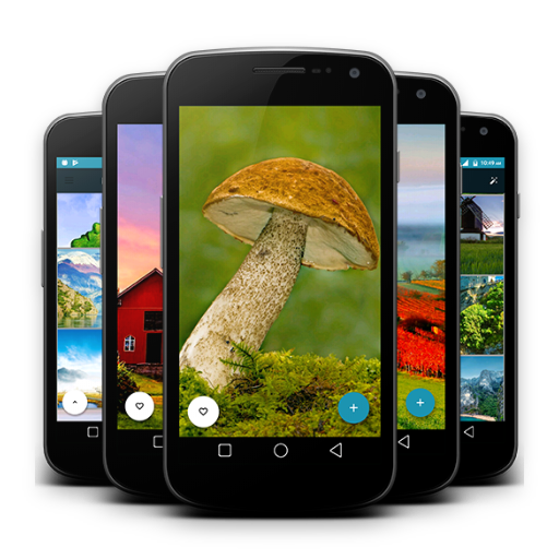 Nature Wallpaper - Green nature hd wallpaper