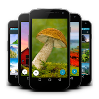 Nature Wallpaper - Green nature hd wallpaper