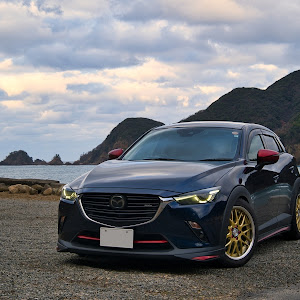 CX-3 DKEFW