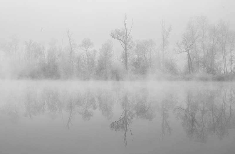 nebbia sul fiume di Francescogiacomo