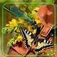 Butterfly and Dragonfly Live Wallpaper Download on Windows