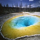 Yellowstone National Park Themes & New Tab