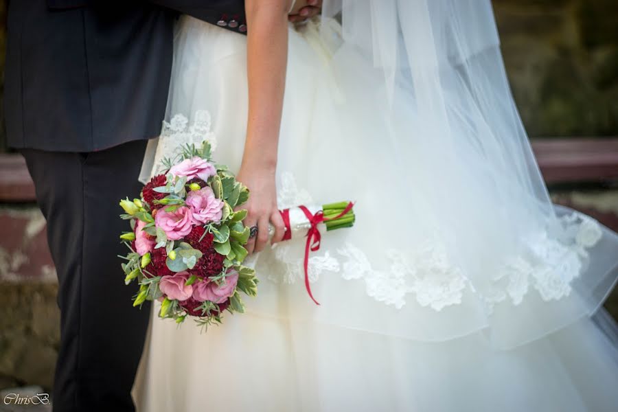 Wedding photographer Krіstіna Batovska-Benik (chrisb). Photo of 11 October 2015