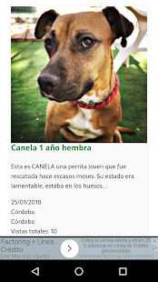 Adopta Mascota Screenshot