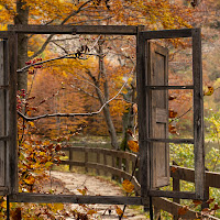 La finestra sull'autunno di 