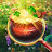 Lucky Season: Hidden Objects icon