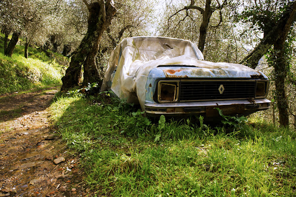 Blue Renault di gael_delpero