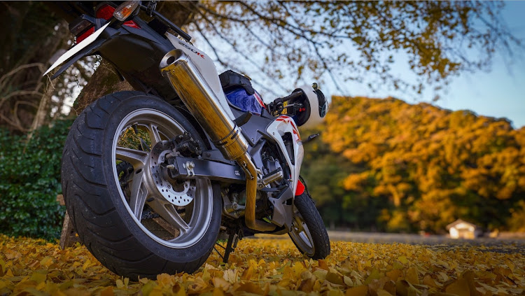 その他の冬の空・さむい・#紅葉・バイクに関するカスタム事例の投稿画像1枚目