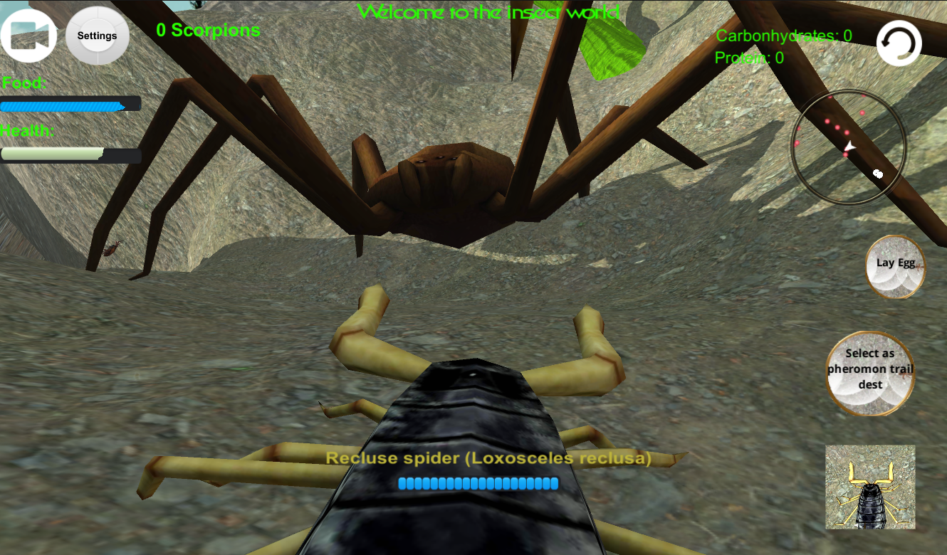    Scorpion Insect Simulator 3D- screenshot  