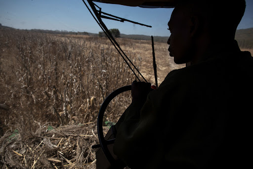 Zimbabwe’s President Emmerson Mnangagwa has ordered an upward adjustment of the producer price of grain to motivate farmers to increase production.