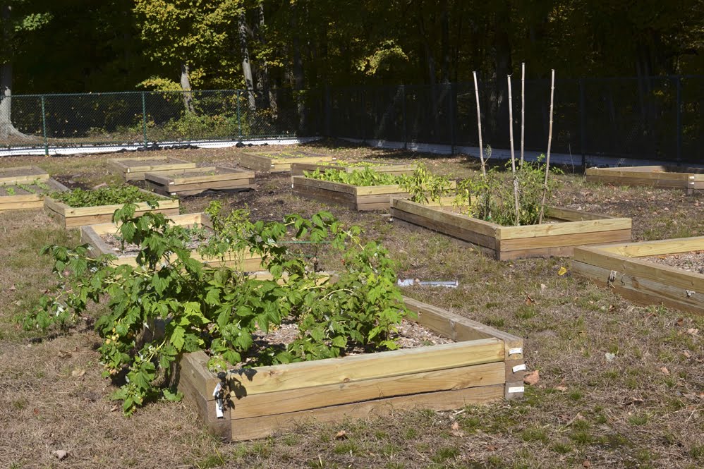 Veterans Garden