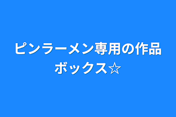 ピンラーメン専用の作品ボックス☆