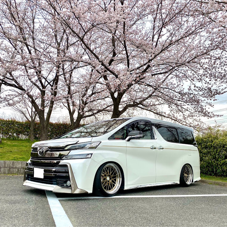 ヴェルファイアの桜とコラボ🌸・内外装進化でノリノリ🎶・今年も🌸桜と🚗撮れた‼︎・BBS owners photo にのった🤭・BBS信者　BBS紳士　BBSレーシングに関するカスタム事例の投稿画像2枚目