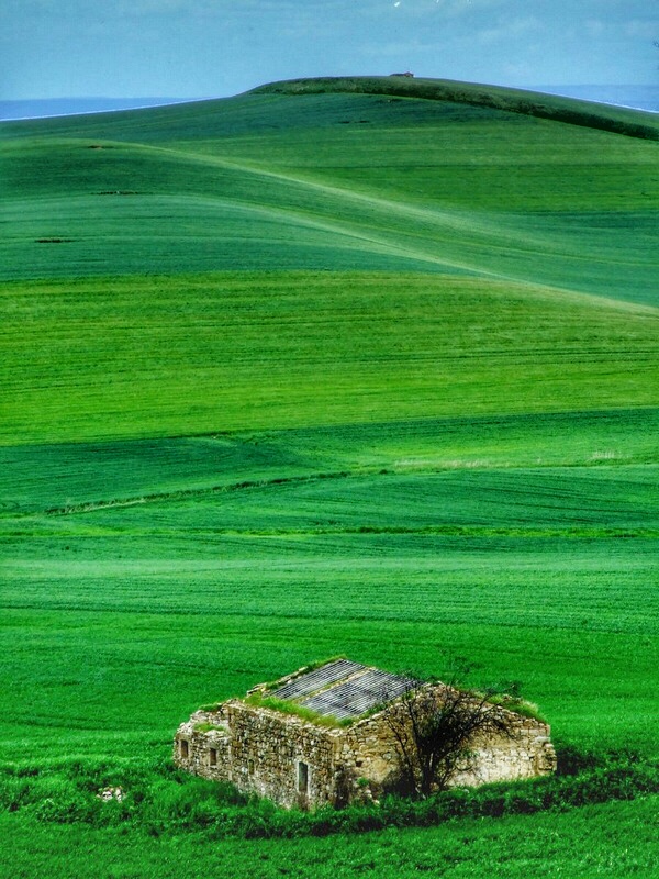 Ricordi di vita rurale di Jorjo