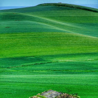 Ricordi di vita rurale di 