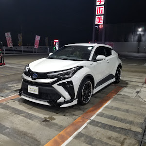 C-HR ZYX11