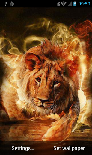 Fiery lion live wallpaper