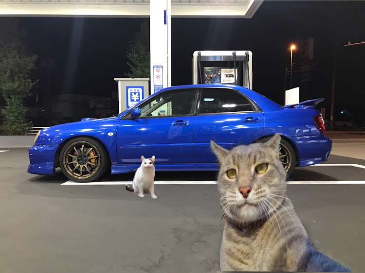 インプレッサ WRX STIのインプレッサWRXSTI・インプレッサ GDB・ねこに関するカスタム事例の投稿画像1枚目