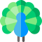 Item logo image for AWS Peacock Management Console