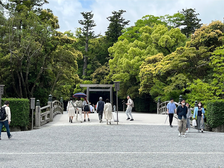 の投稿画像1枚目