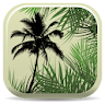 Palm ID Key icon