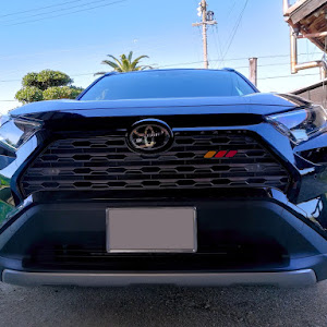 RAV4 MXAA54