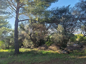 terrain à batir à Six-Fours-les-Plages (83)