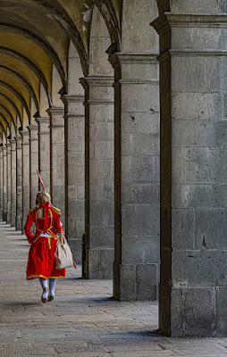 Fine della festa.. di RICCARDO60