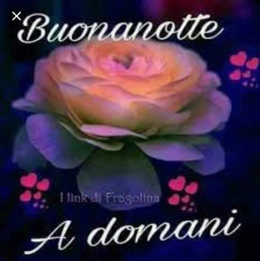 Buona Notte Immagini GIF